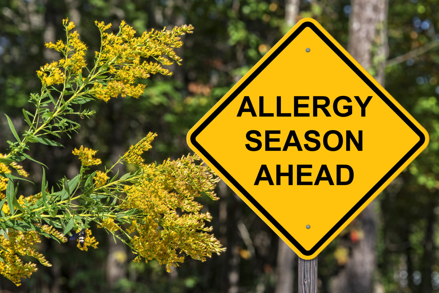Seasonal allergies season on its way